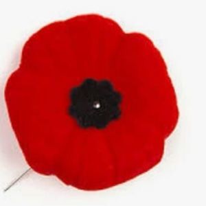 Meet your Posher, Wendy